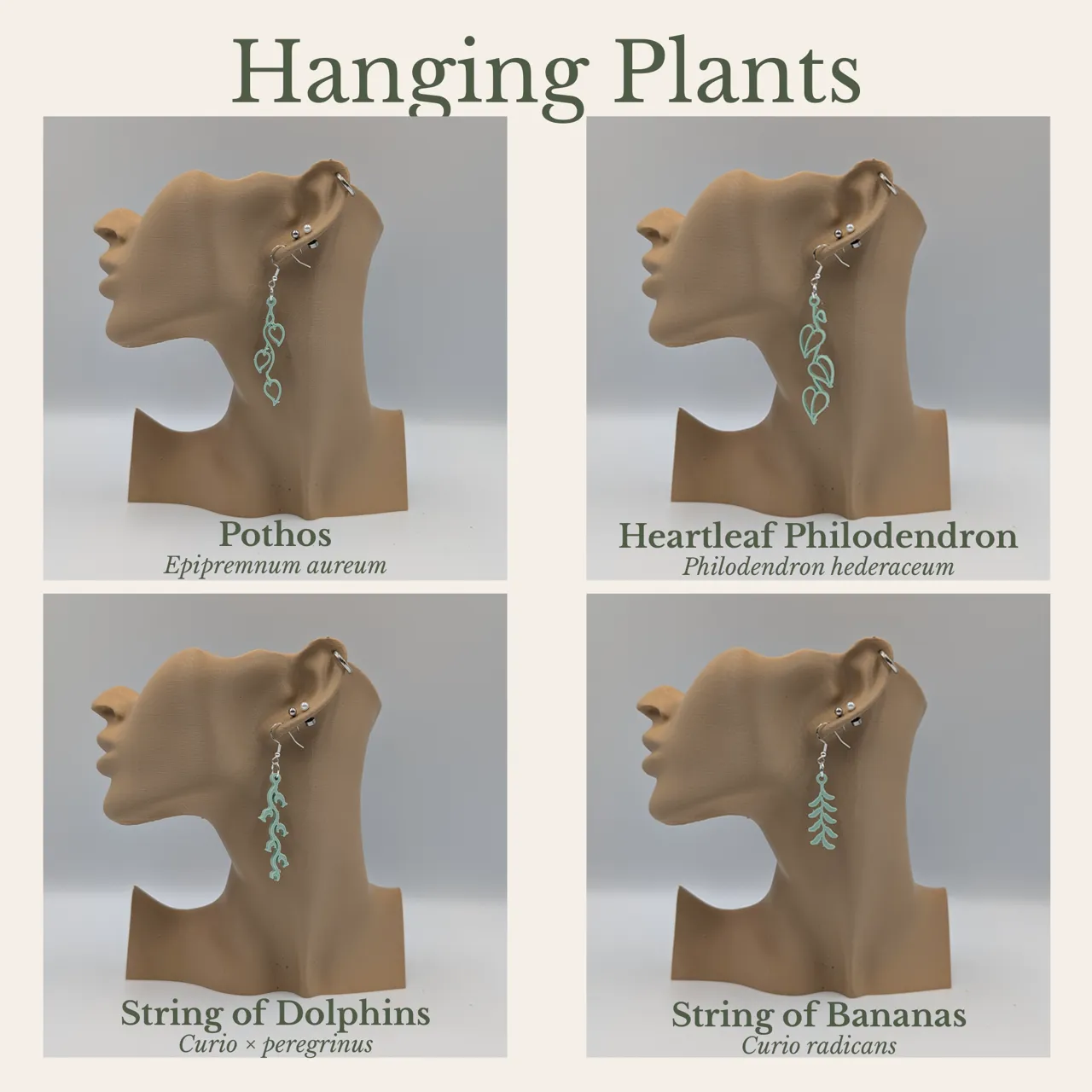 Houseplant Earring Collection view 4