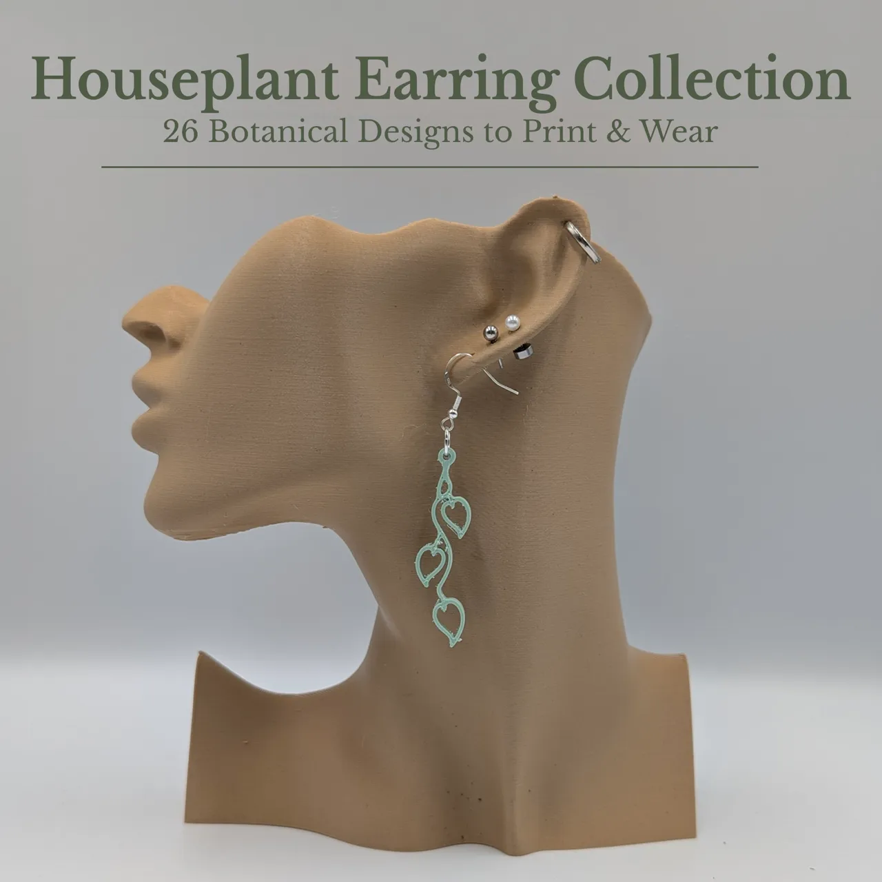 Houseplant Earring Collection view 2