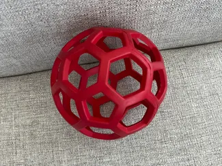 dog toy