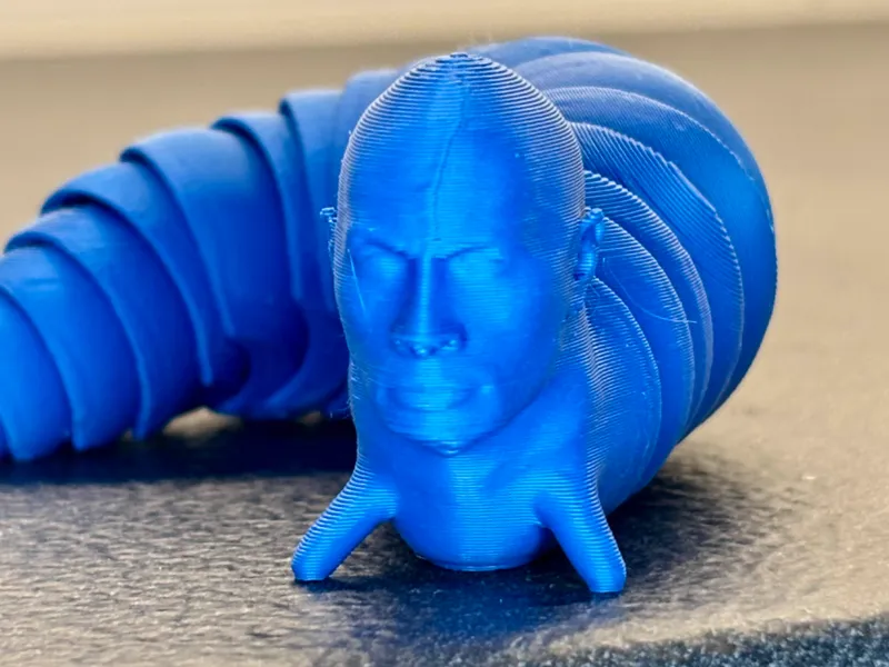 The Rock Fidget Slug