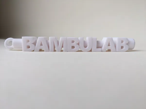 https://makerworld.bblmw.com/makerworld/model/US6280fd7c7b6c76/design/2023-11-25_c6203fce17b5f.jpg