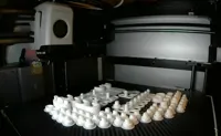 Hardware compatible with more printers + combined plate PETG