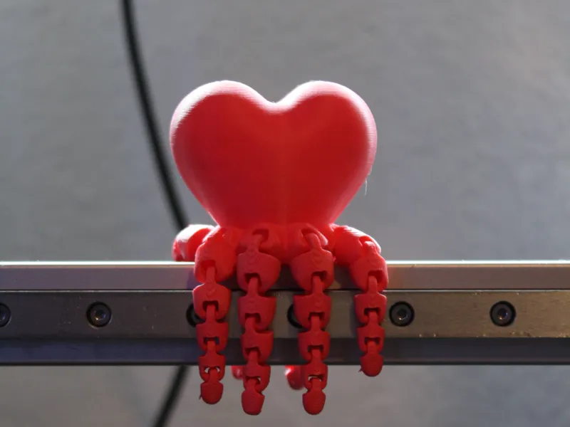 Heartopus | The Humorous Valentines Gift 