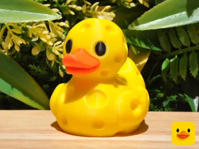 Swiss Cheese Duck