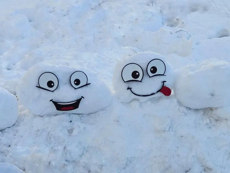 Snowman Face