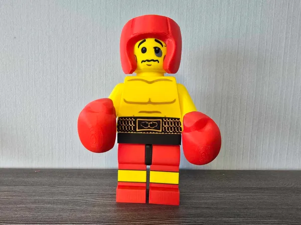 https://makerworld.bblmw.com/makerworld/model/US6294820a10a813/design/de890f6cbd2dd168.jpg