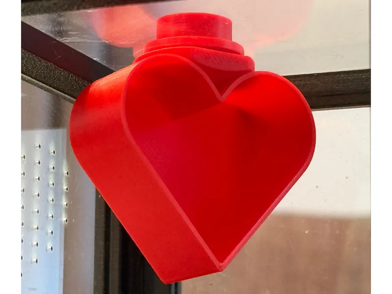 Jumping Spider Enclosure - Heart Hotel hangout