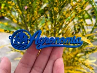 0.16mm layer, 2 walls, 15% infill