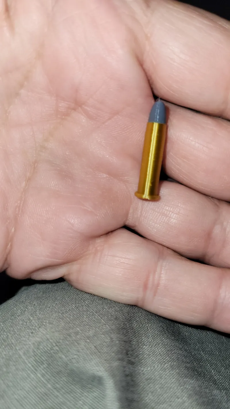22LR Dummy round