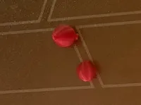 0.16mm layer, 2 walls, 15% infill