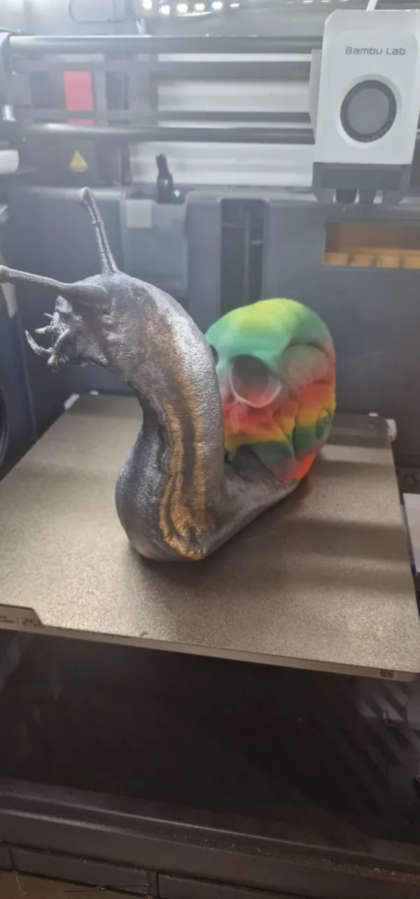 https://makerworld.bblmw.com/makerworld/model/US62ac57dab75a9/design/2024-03-16_e2edb95cdb09d.jpg