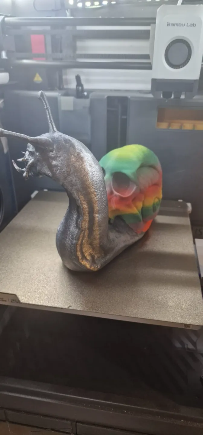 shell skull snail