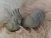 0.16mm layer, 2 walls, 15% infill