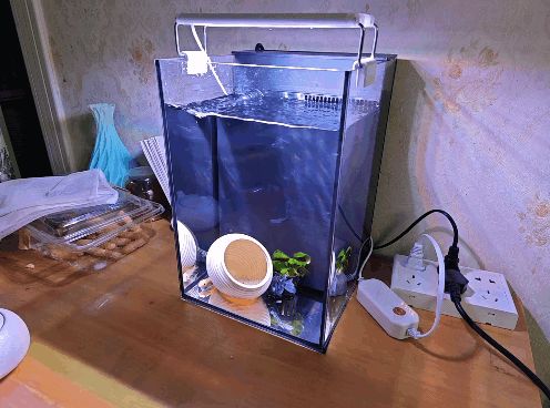 20x20x30背滤盒