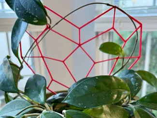 Heart Trellis