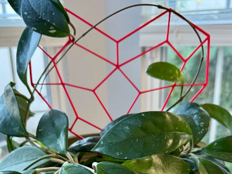 Heart Trellis