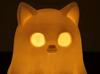 Cute BOO Cat