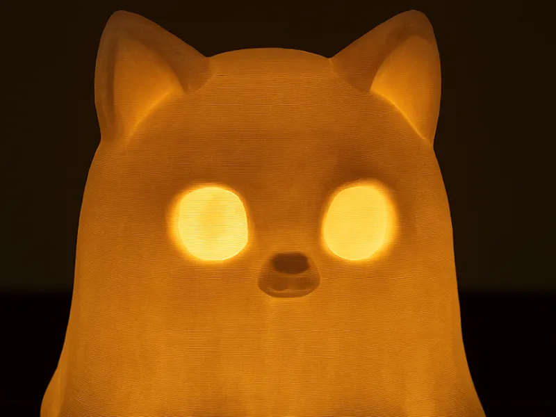 Cute BOO Cat