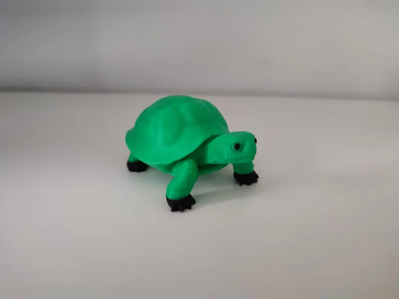 Tartaruga