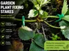 Garden Plant Fixing Stakes