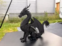 Dragon élégant — photo 2