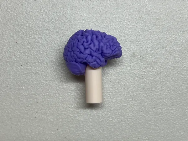 https://makerworld.bblmw.com/makerworld/model/US62c9d3128b584c/design/2025-03-16_d2edb6d5ef2e4.jpg