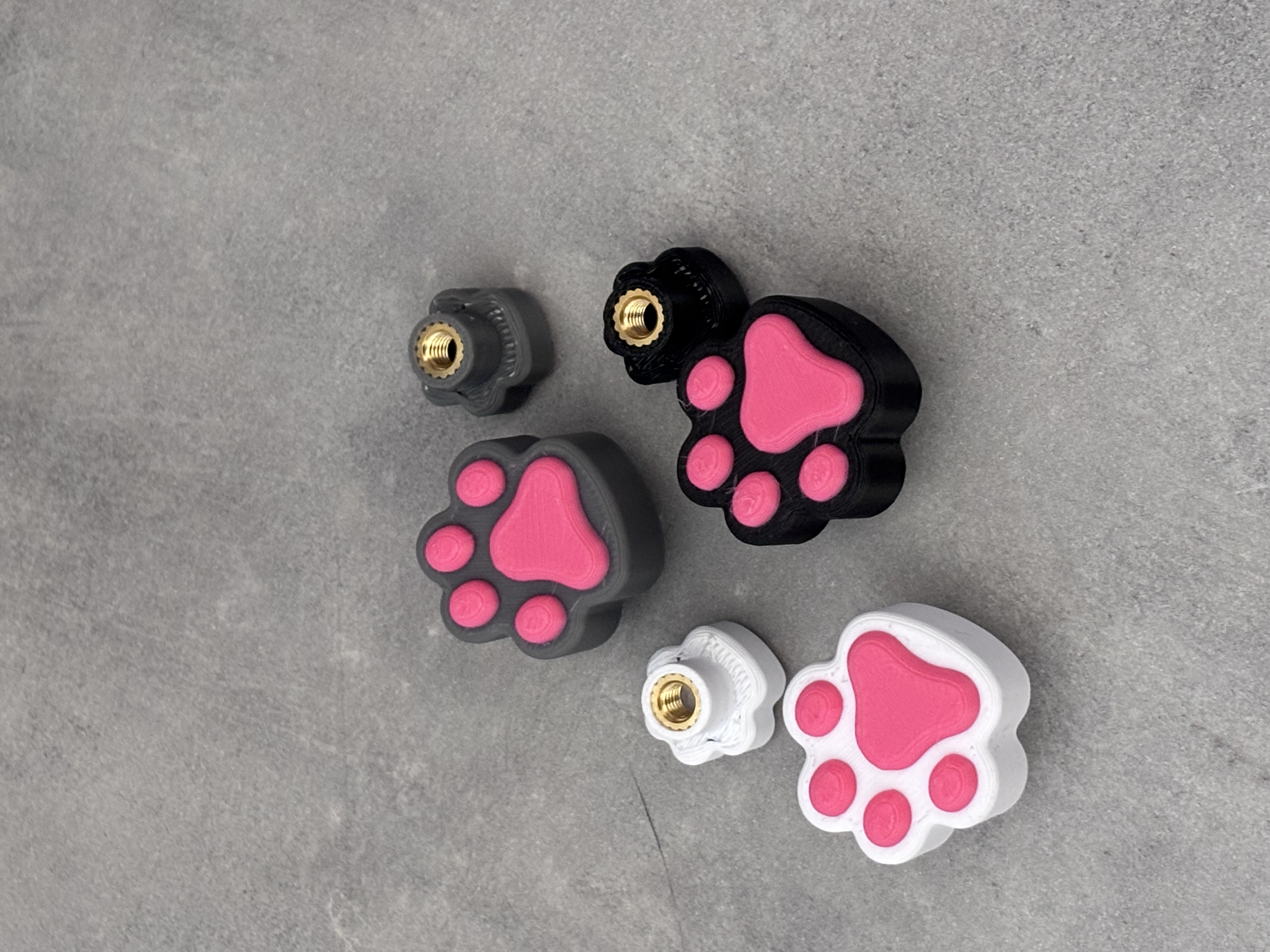 Miniatura 1 do modelo 3D Paw Knob