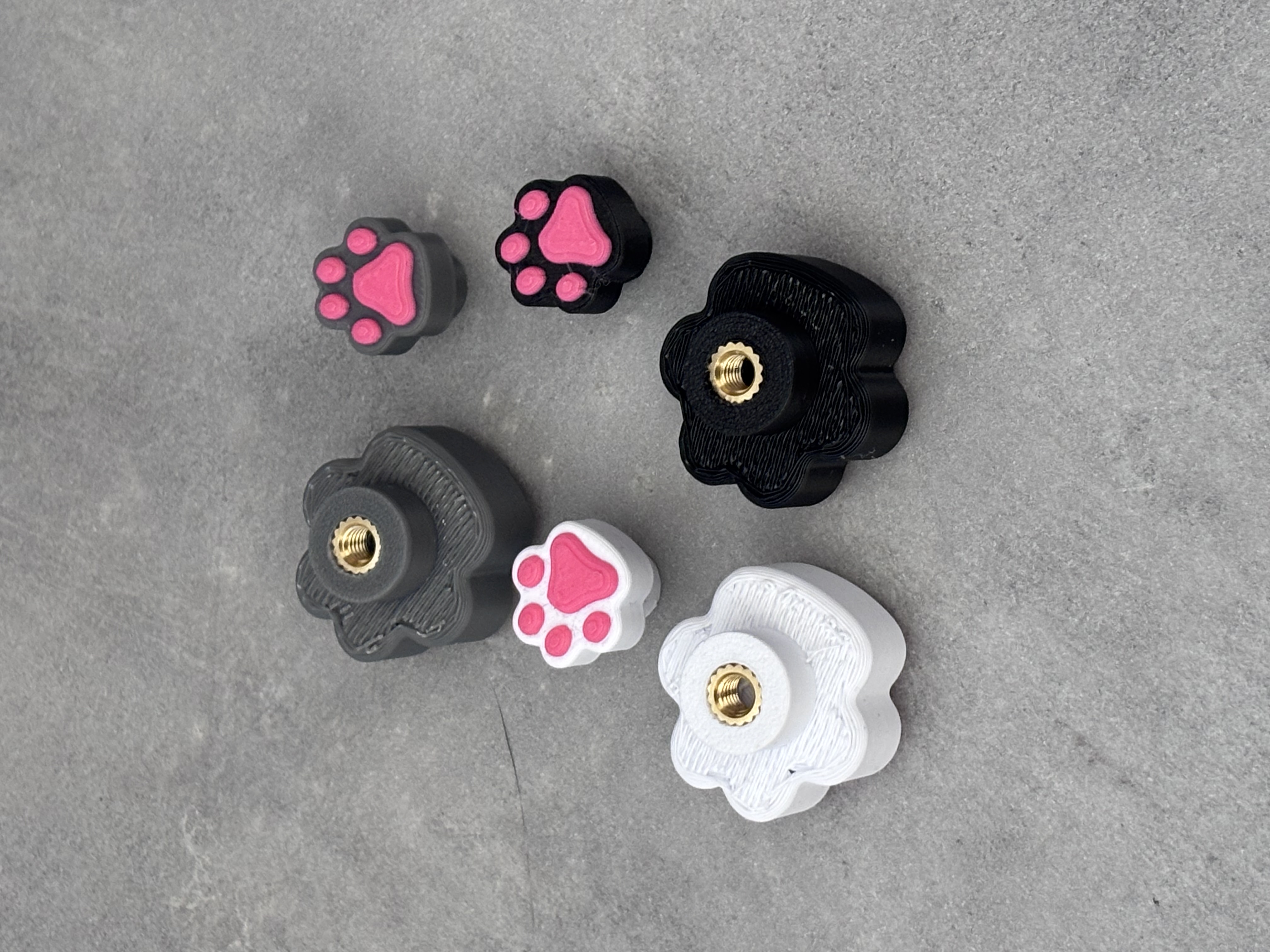 Miniatura 2 do modelo 3D Paw Knob