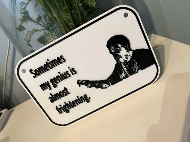 Sometimes my genius meme sign
