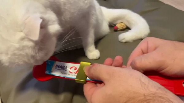 https://makerworld.bblmw.com/makerworld/model/US62cdeff232b3ae/design/2024-10-27_2202636b9ee78.gif