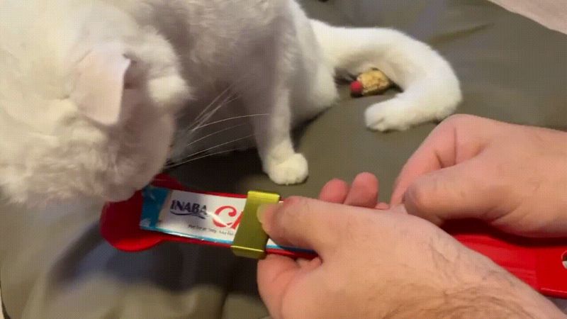 Cat's paste squeezer