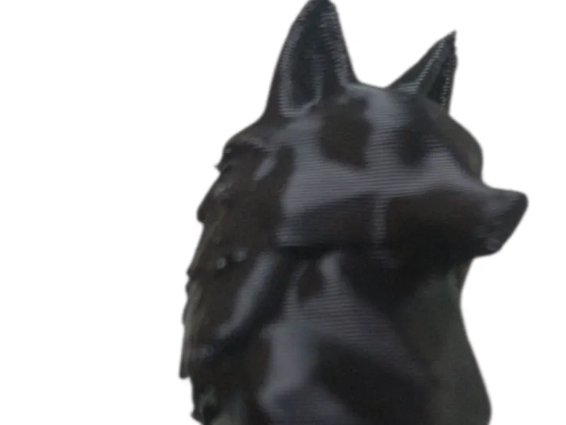 Wolf 