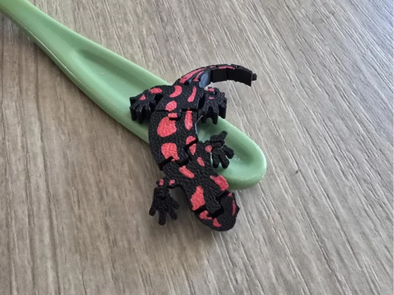 Flexi Salamandre 