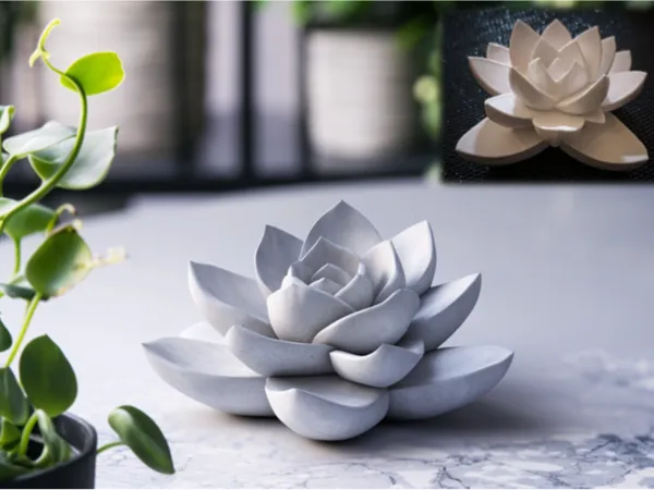 https://makerworld.bblmw.com/makerworld/model/US62d45339c4b3f/design/2024-12-24_a4d0744da0953.png
