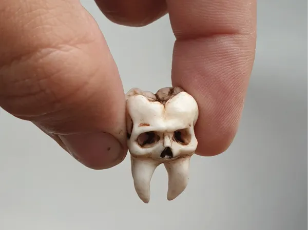 https://makerworld.bblmw.com/makerworld/model/US62d4ff8b2ea904/design/2025-05-05_ab7c7d3c759ed8.webp