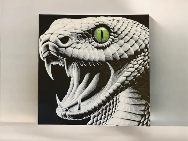 https://makerworld.bblmw.com/makerworld/model/US62d7103878939f/design/2025-01-12_bc4a0455ce2ce8.png