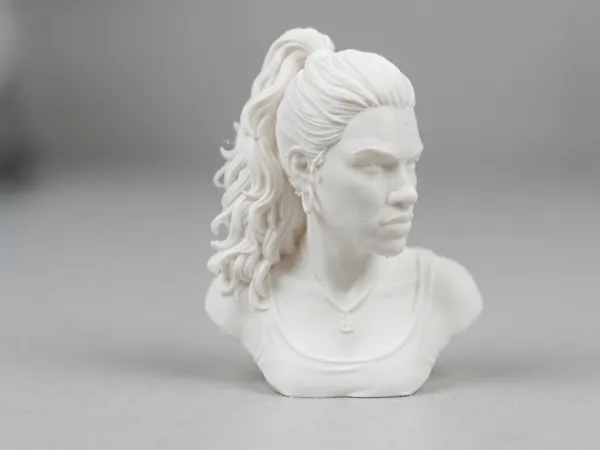 https://makerworld.bblmw.com/makerworld/model/US62d8360275e84f/design/80801c5f7bc358f7.png