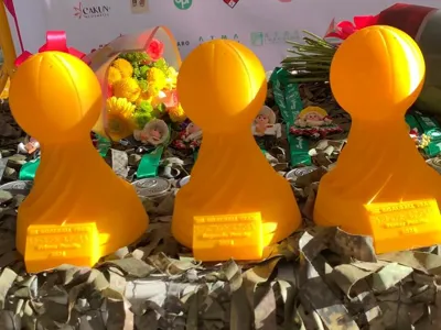 GoalBall Trophy with Internal Bell – Customizable