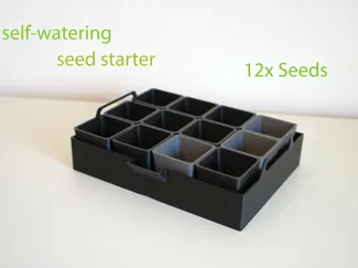Seed Box