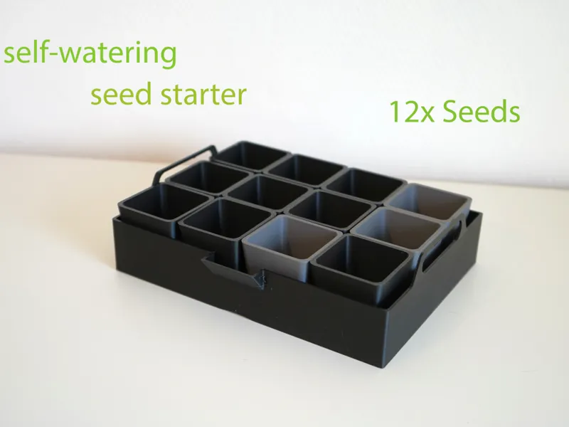 Seed Box