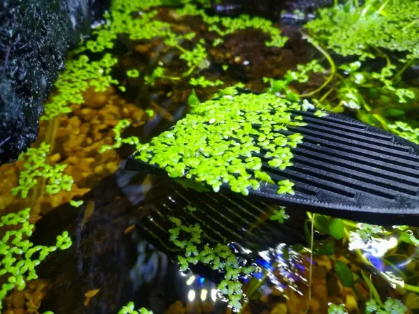 https://makerworld.bblmw.com/makerworld/model/US62eecc17a76332/design/2025-04-08_b746734f596dd.webp