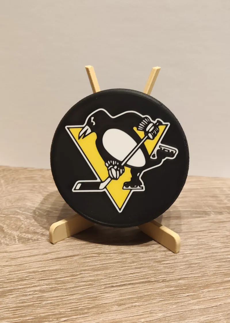 Pittsburgh Penguins puck NHL