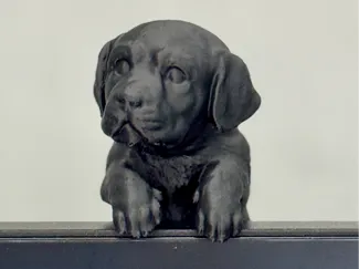 Peek your curious monitor buddy