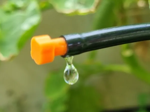 https://makerworld.bblmw.com/makerworld/model/US62f552d2d34e8a/design/2025-07-24_6dfa0a1550ce98.jpg