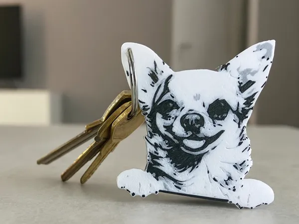 https://makerworld.bblmw.com/makerworld/model/US62fbd23329b56/design/2025-08-23_ae42afaac7d568.png