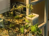 0.2mm 层高, 2 层墙, 15% 填充