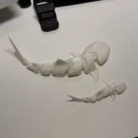 2 size with brim 0.16mm layer, 2 walls, 5% infill
