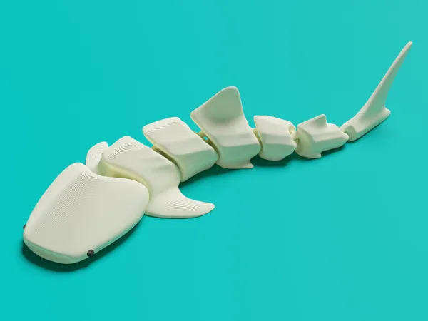 https://makerworld.bblmw.com/makerworld/model/US63027fda9e03b7/design/2024-01-09_1fii8quotfv2.png