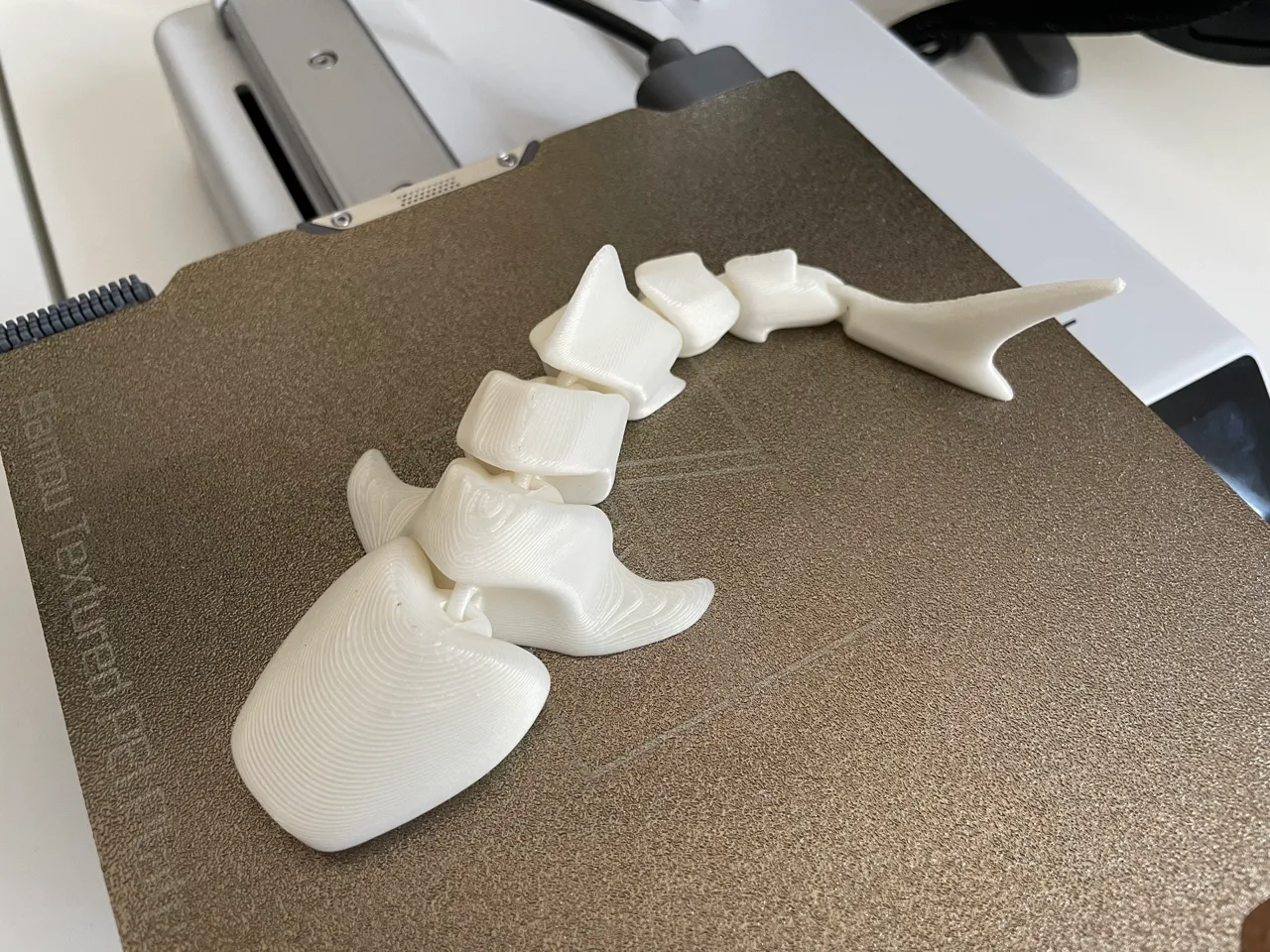 Articulated Whale Shark view 3