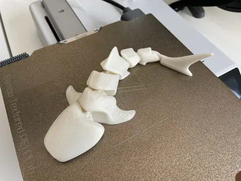Articulated Whale Shark view 3